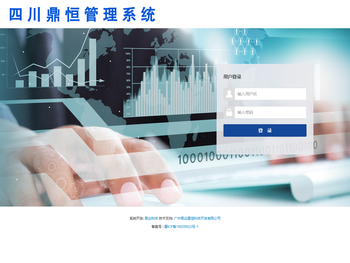 四川鼎恒咨询集团全信息化咨询管理系统
