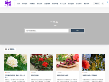 二九网