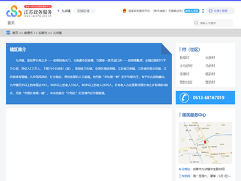 九华镇政务服务网
