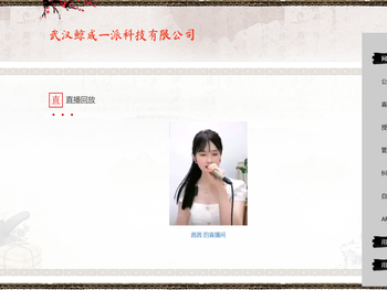 武汉鲸成一派科技有限公司