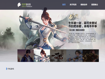 风月科技有限公司