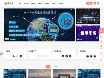 大连莱立佰信息技术有限公司