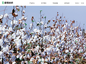 江阴市超恒纺织科技有限公司