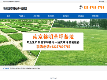 江苏百慕大草坪草皮