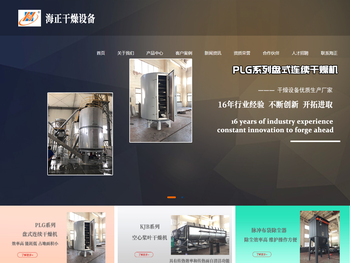 耙式真空干燥机