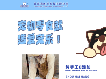 重庆永屹升科技有限公司