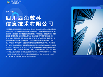 四川辰海数科信息技术有限公司