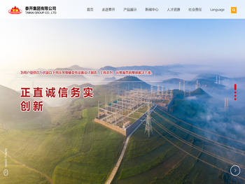 泰开集团有限公司