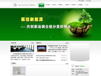 山东辰信新能源有限公司