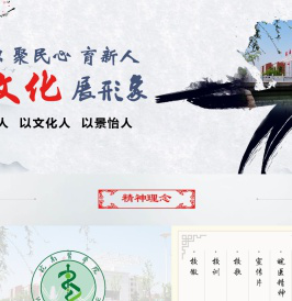 皖南医学院文化网
