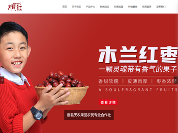 唐县天农果品农民专业合作社官网,红枣,种植