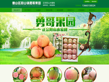 惠山区阳山镇勇哥果园