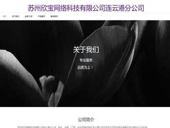 苏州欣宝网络科技有限公司连云港分公司