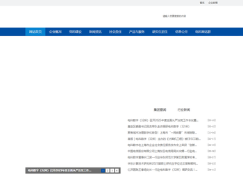 中电科数字科技（集团）有限公司