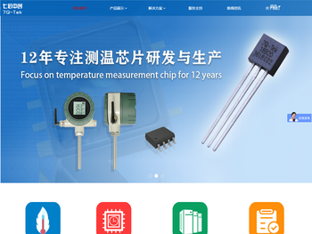 数字温度传感器探头