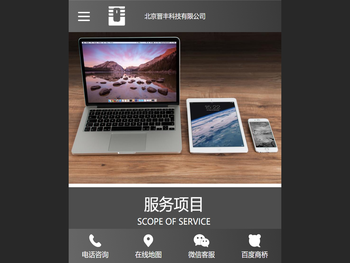 专业软件开发公司