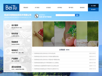 杨凌贝塔网络信息技术有限公司