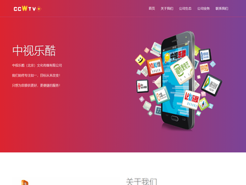 中视乐酷