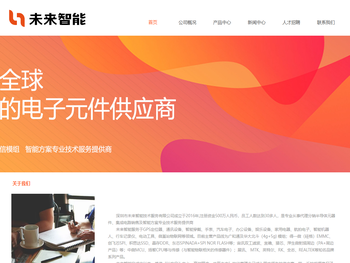 深圳市未来智能技术服务有限公司