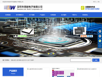 深圳市领越电子有限公司