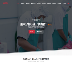 ERP案例
