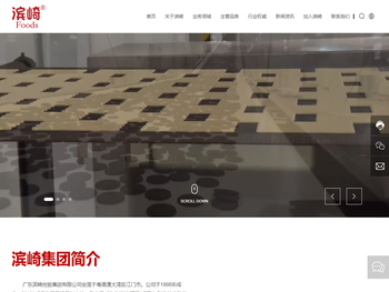 广东滨崎控股集团有限公司