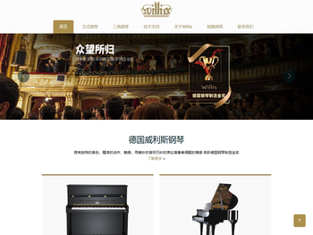 赛乐尔三益乐器（上海）有限公司