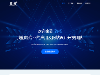 东莞市致拓软件有限公司