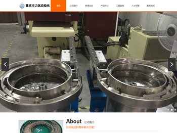 重庆力远振动盘