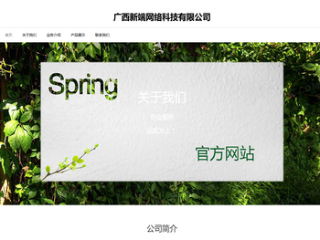 广西新端网络科技有限公司