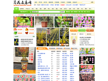 中国兰花交易网