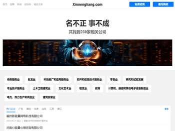 新能量有限公司