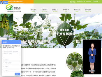 四川瓜蒌苗瓜蒌籽