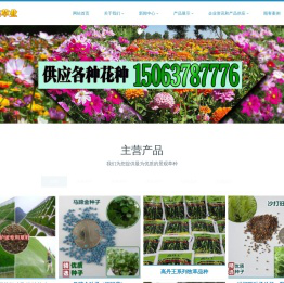 护坡草种,绿化草籽,草种子价格,批发草种子