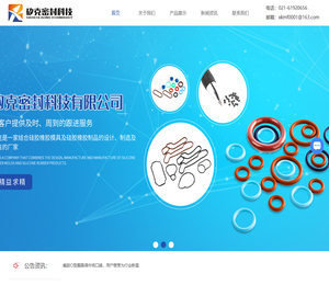 特种橡胶密封件
