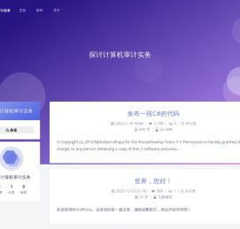 探讨计算机审计实务