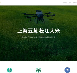 上海五茸·松江大米