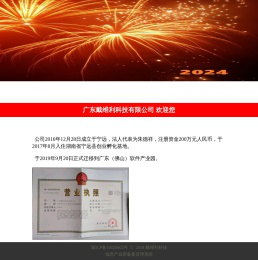 戴维利科技网站