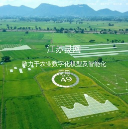 江苏灵网信息科技有限公司