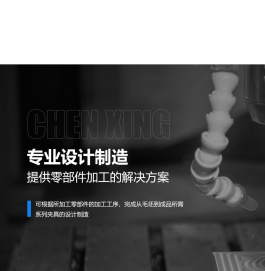 金华市辰星精密机械有限公司