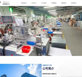 深圳市科有电子有限公司