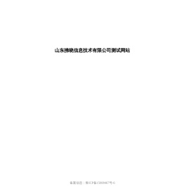 山东拂晓信息技术有限公司测试网站