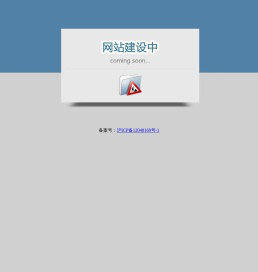 上海新颖商务咨询有限公司