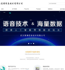 武汉莱博信息技术有限公司