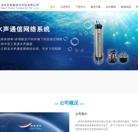 深圳市智慧海洋科技有限公司