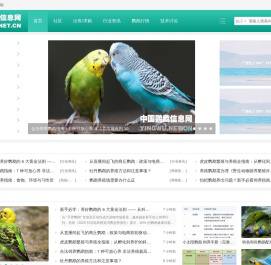 中国鹦鹉信息网