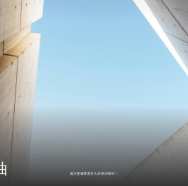 【官网】杭州星柚