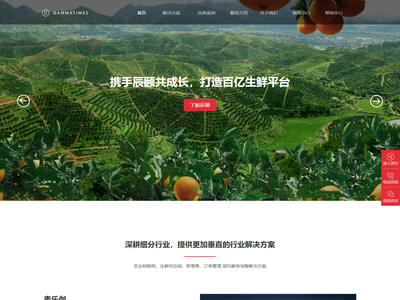 辰颐物语,辰颐物语分销系统,辰颐物语电商平台