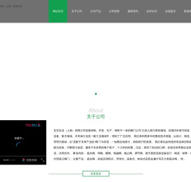 瓦茨实业（上海）有限公司