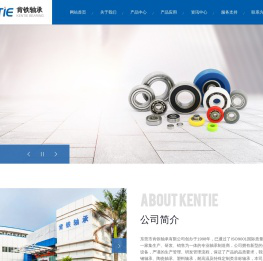 不锈钢深沟球轴承